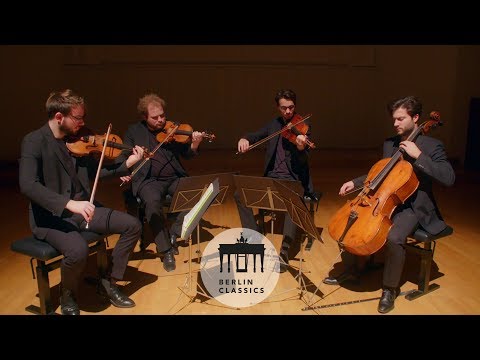 Goldmund Quartett - Shostakovich (Interview)