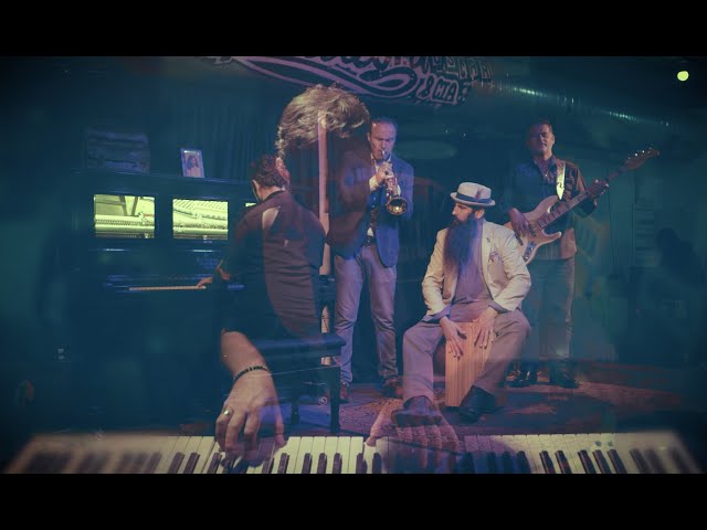  Wine On The Piano - Track Dogs