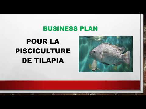 , title : 'BUSINESS PLAN pour la Pisciculture de Tilapia'