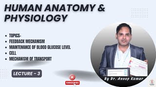 Maintenance of Blood glucose level | Cell | Transport Mechanism|HAP| PHARMA DECODED|Dr. Anoop Kumar|