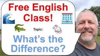Let's Learn English! Topic: What's the Difference Between...? 🐊🏢🐁