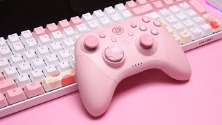 DAREU H101X Pink Gamepad Review - BZFuture