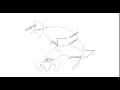 Lucas Enriquez Cushing S Syndrome Stop Motion