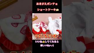 【５月 ガチャガチャ 開封】おきがえポンチョ ショートケーキ「うさいちごリボン」（全4種 1回 500円）