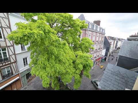 f2 rue Cauchoise 3ème étage porte gauche référence 787