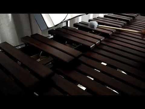 Inni di lode N°163: Signor, che col Tuo sangue Marimba Cover