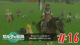 その装備は魔物舐めすぎだろ #16【ゼルダの伝説ティアーズオブキングダム】