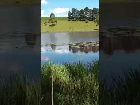 São Jerônimo da serra Paraná