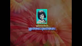 yt