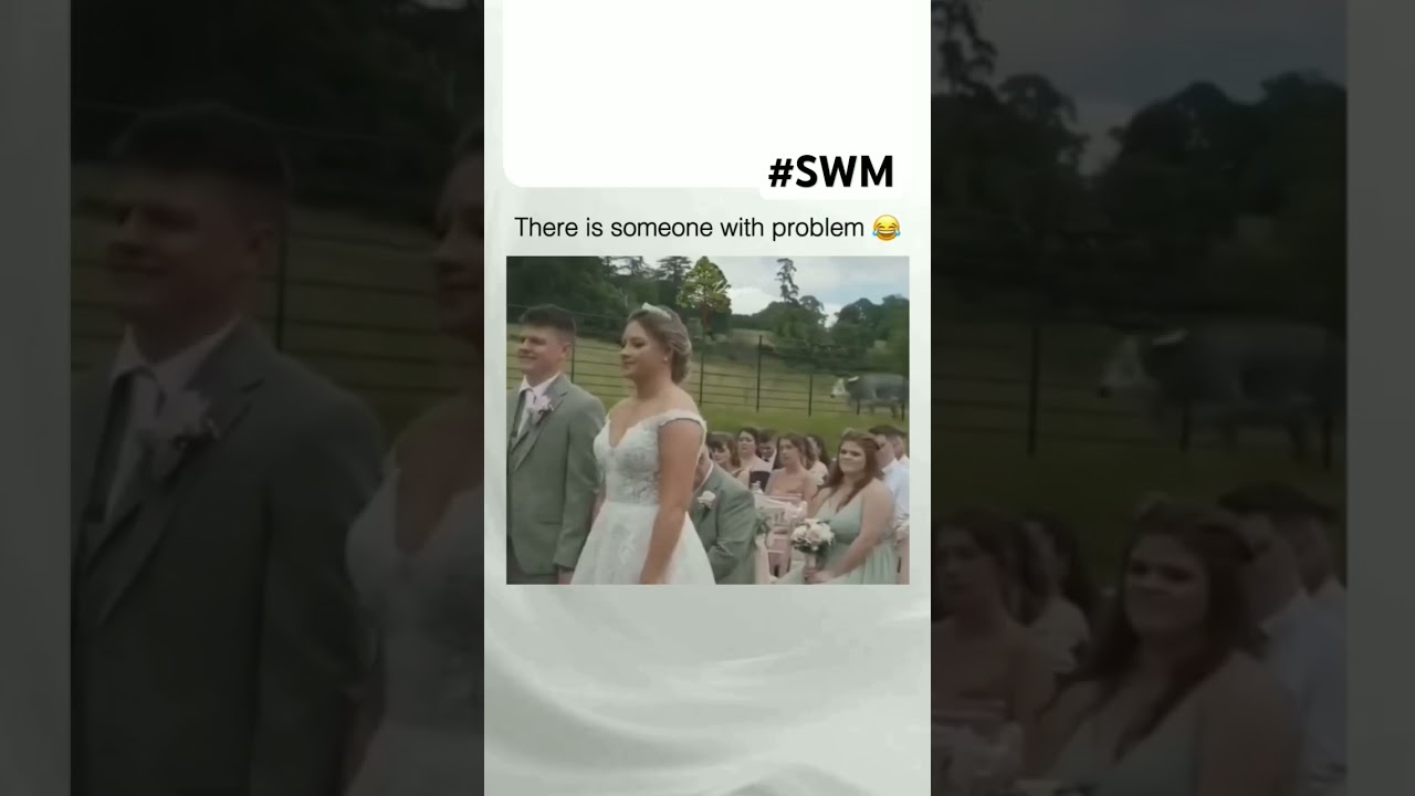 WTF😂😂...#shorts #ytshorts #funny #comedy #trending #viral #swm #wedding #cow #lmao