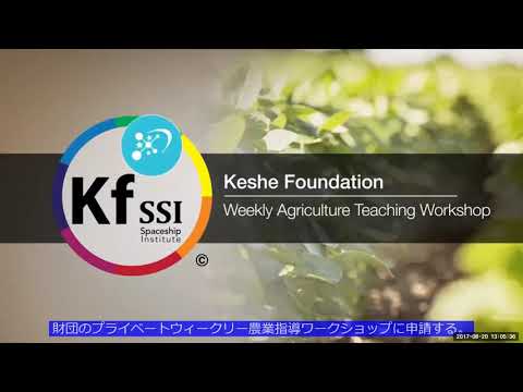 2017 08 20 PM Public Teaching in Japanese - 日本の公共教え