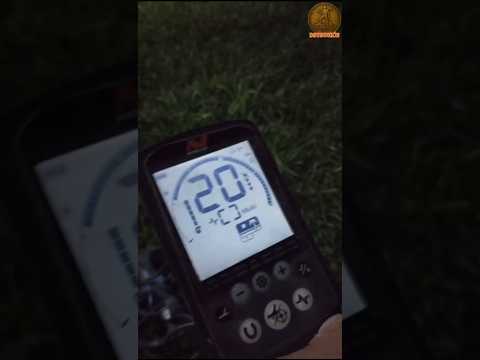 Detección metálica en plaza de Villa Regina, Río Negro 🍎🍐