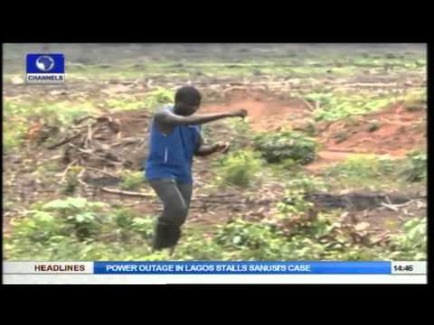 Earthfile: Achieving Food Security And Fighting Off Land Grabbers. Pt2