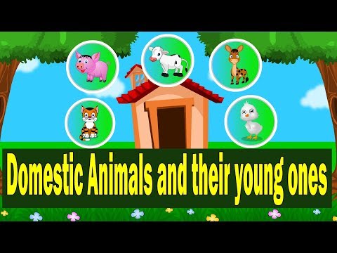 Domestic Animals and their Young Ones | Farm Animals Babies name @ Kid2teentv Video