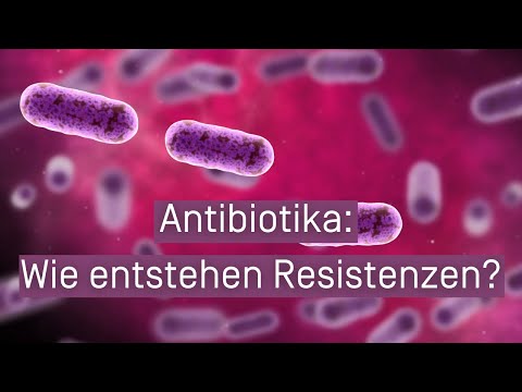 Antibiotika: Wie entstehen Resistenzen?