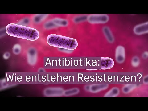 A prosztatitis modern antibiotikumok