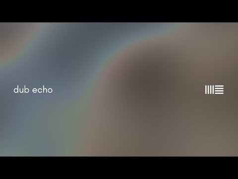 Dub Echo ─ Explained by a Musicologist #ableton #electronicmusic #dub