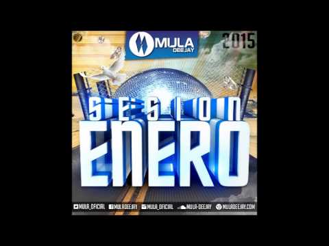 09. Sesión Enero 2015 (Mula Deejay)