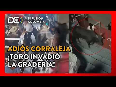 Toro irrumpe en gradería y desata pánico en corraleja de Tolima