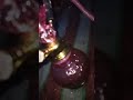 HUKKA WHATSAPP STATUS SHARAB KESI KHUMAR KESA