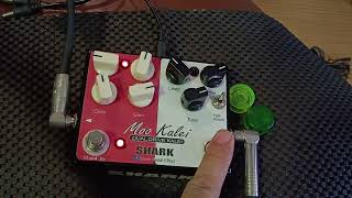 Shark Moo kalei limited มีทำแค่ 50 ก้อน สนใจ 0869040022 iD ตุ๋ยมิวสิค