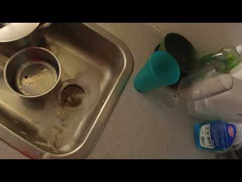 MongoTV_6466 - Mongo Madskole - Del 1 - Stegte PØLSER Med KARRY RIS - LØG - RØD PEBERFRUGT