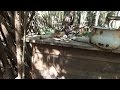 Metal Detecting Found A Treasure Trove In The Woods Nugget Noggin