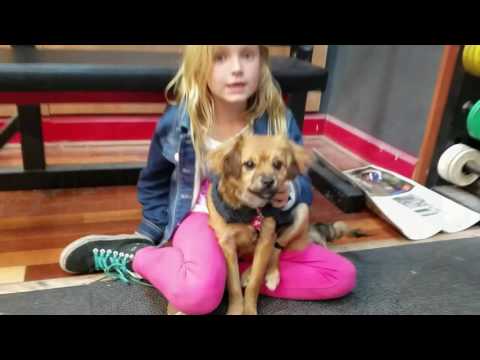 2016-1210 | SBLB.fit & Long Beach Weightlifting | Training Recap