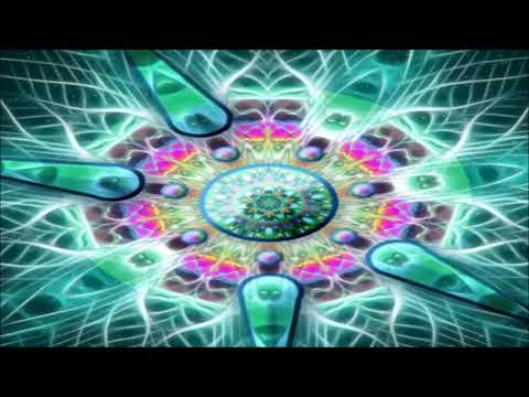 Fungus Funk -  A Message To Shankra Festival  [2018]