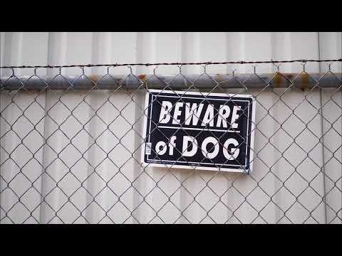 Who goes there Ft. Dandizzy