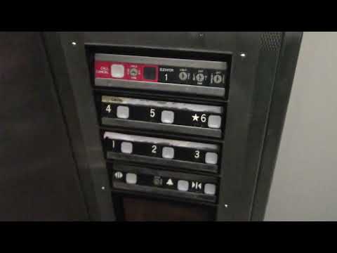 ThyssenKrupp/Marshall Impulse SPF Elevators - South Municipal Garage - Mount Lebanon, PA | ECFE