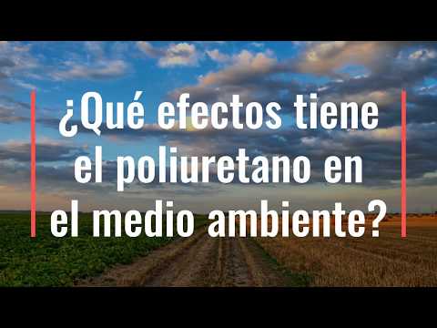 4. ¿Se puede fabricar poliuretano a partir de otros materiales reciclados? item-thumbnail
