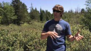 SFPR Part 2:  Burns Bog