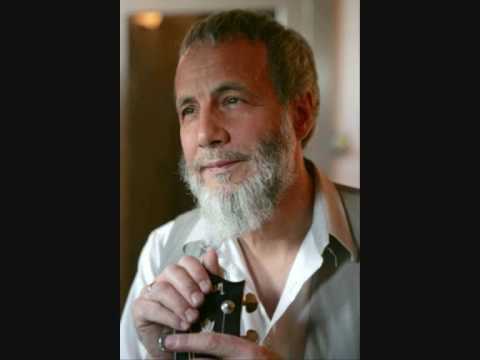 Cat Stevens (Yusuf Islam) - Bitterblue - live at the royal albert hall 70's