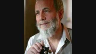 Cat Stevens (Yusuf Islam) - Bitterblue - live at the royal albert hall 70&#39;s