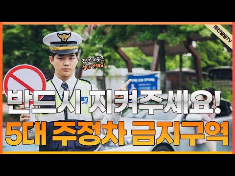 반드시 지켜주세요! 5대 주정차 금지구역