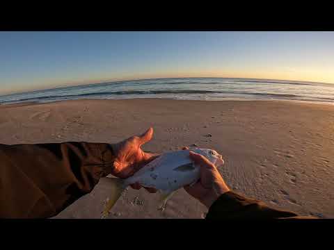 Why You Should Always Have a Line In The Water When Surf Fishing!