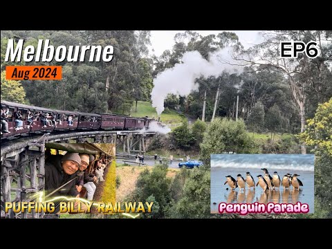 Join us for a Day trip to Puffing Billy Railway & Phillip Island to see the Penguin Parade by KlooK
