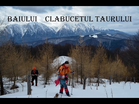 Clabucetul Taurului  - Baiului🌞🌨🌟