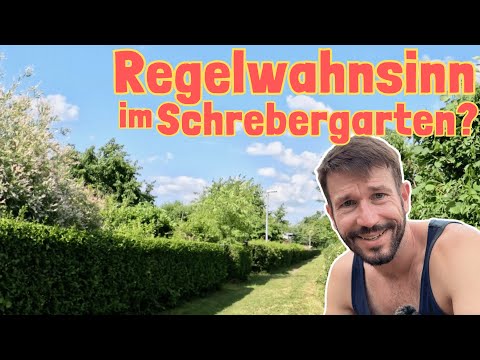 Kleingarten Sommer 2023: Heckenhöhe | Tomaten ins Freiland umsetzen | Schnecken verschenken