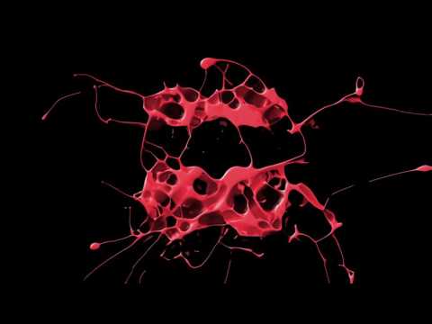 Levan Kay Feat. Gary Caos & Elenice - Don't Look Any Further (Radio Edit)