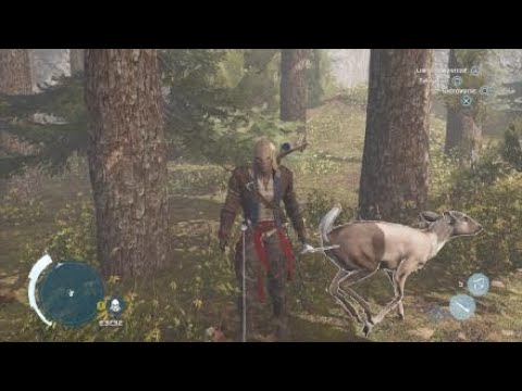 Zagrajmy w Assassin's Creed 3 - Odc. 18  - Nocny rajd