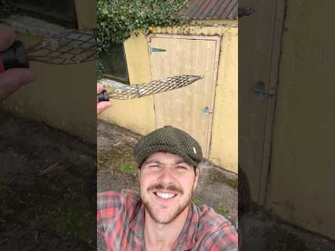 Homers Door #dog #woodwork #door #carpentry #story #ireland #repair