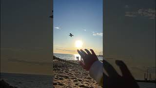 French Movie Theme - The Smashing Pumpkins