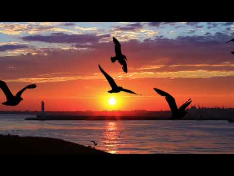 Magic of the Evening ll Turkish Instrumental music,Istanbul Lounge Music, Relaxing Music