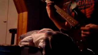 Brother Firetribe - Wildest dreams (cover)