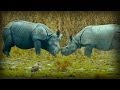 Documentary Nature - Lost Worlds: On the Track of the Unicorn: Indian Rhinoceros