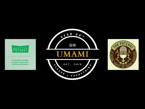 Episode 79 ft Umami Seed Co - The Pot Cast - 21/01/23