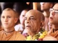 Real Happiness Is To Go Back To Home Back To Godhead Prabhupada 0331