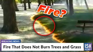 Fire That Does Not Burn Trees and Grass